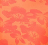 cor: orange paradise